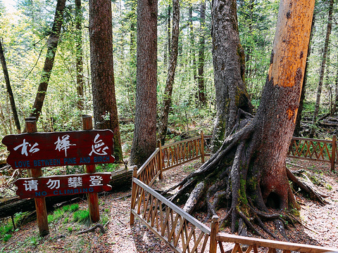 锦江瀑布旅游景点图片