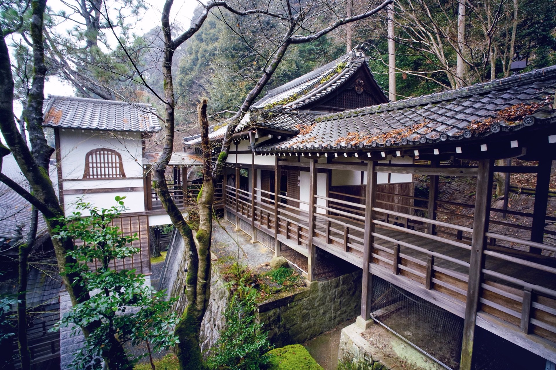 走完哲学之道,前往南禅寺的路上,偶遇了一个非常喜欢的寺院——永观堂