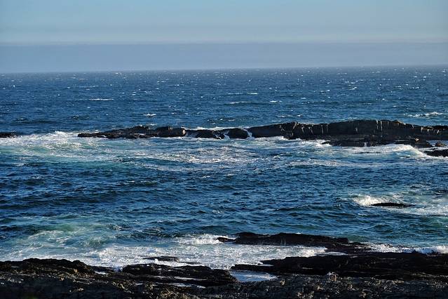 齐齐卡马国家公园