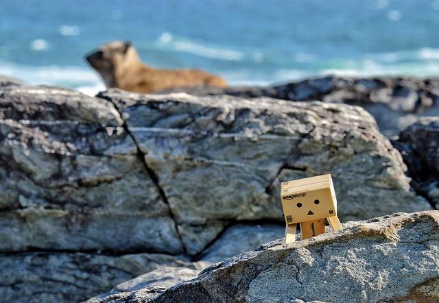 齐齐卡马国家公园