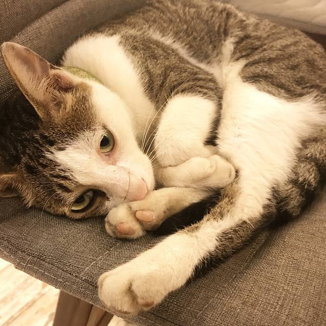 旺宴西街无名米粉