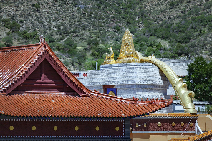 目前密宗殿未对游人开放备注扎仓藏语的汉译音意为僧院这壁画都是取材