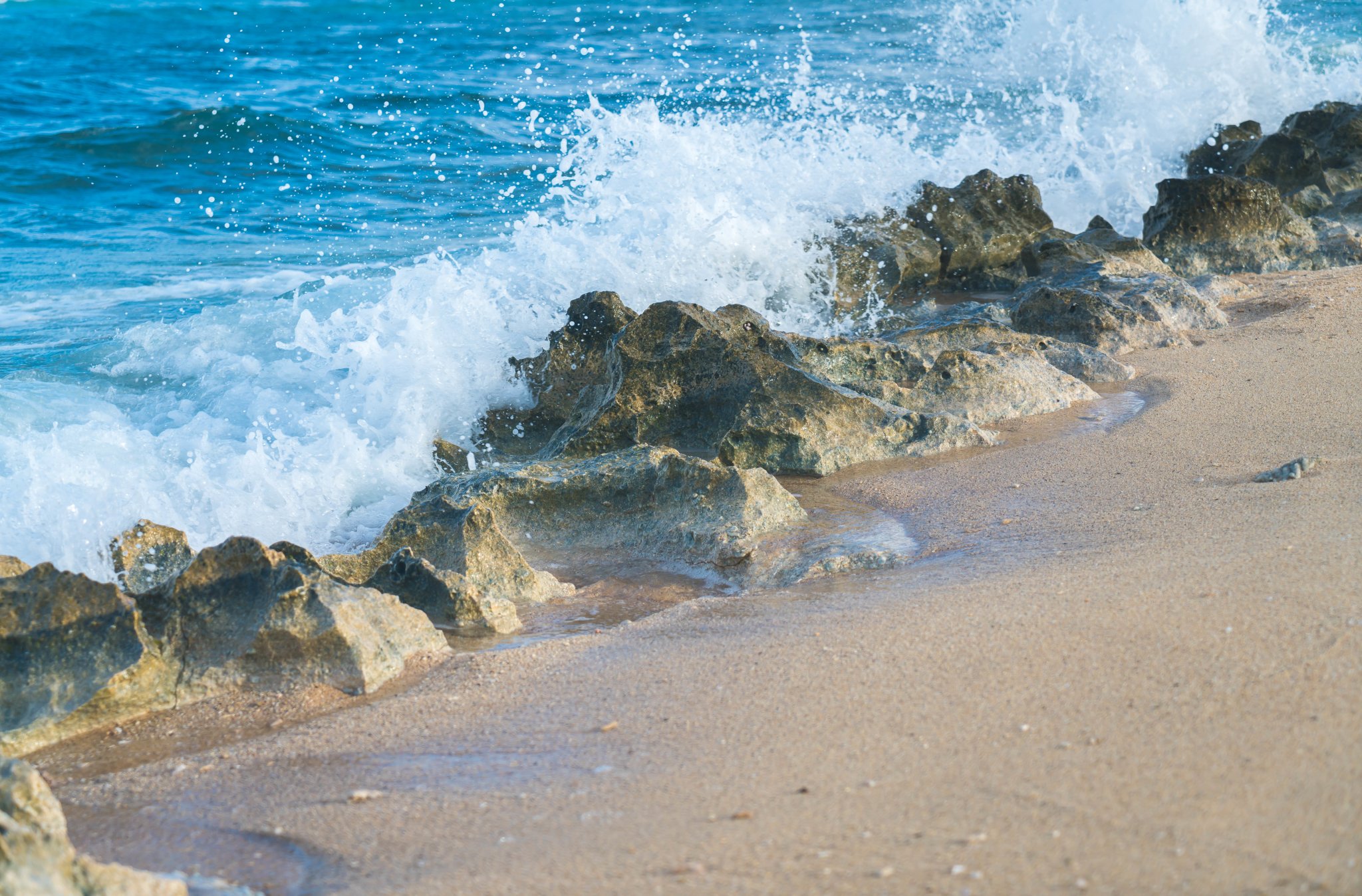 坦克沙滩,又叫星星海滩,因为这里有独一无二的星星沙.