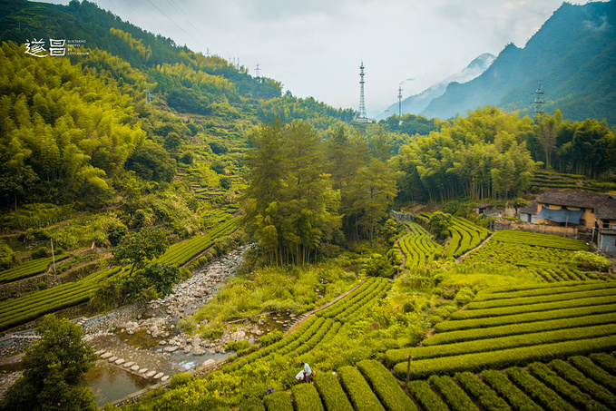 坐看仙境山云涌动，造访红色文化古镇丨遂昌3日休闲游-遂昌旅游攻略-游记-去哪儿攻略