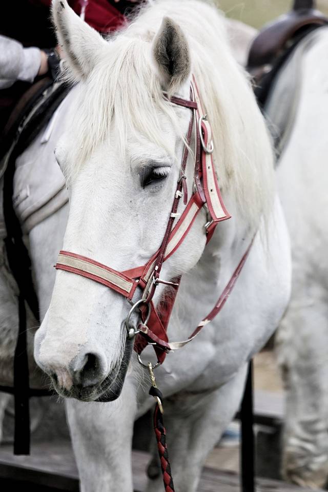 静浦北回归线界标