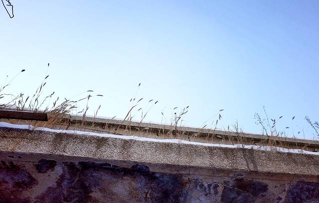 富强大骨棒(南二道街店)