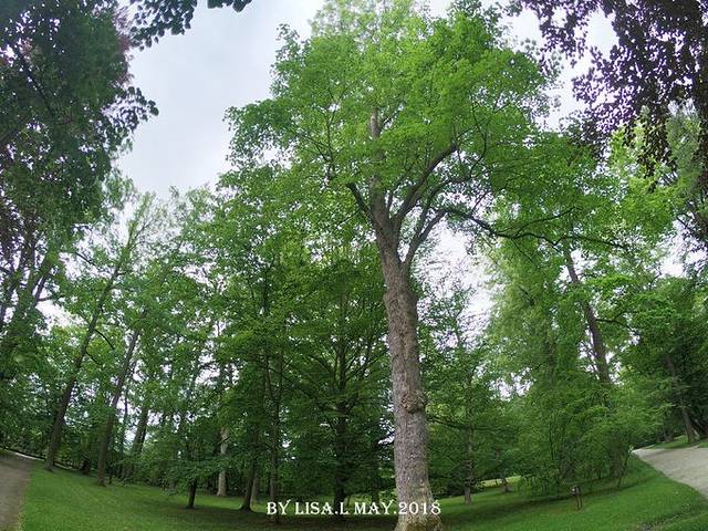 克鲁姆洛夫城堡花园