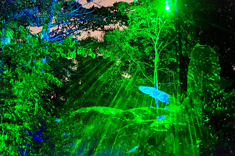 新加坡夜间野生动物园旅游景点攻略图