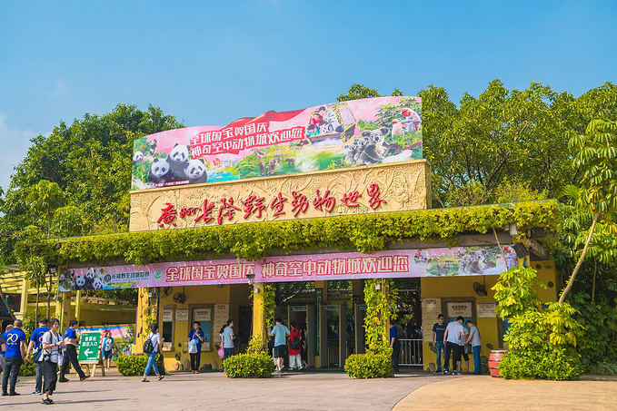 长隆野生动物世界图片