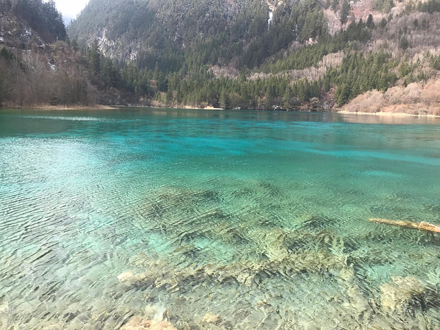 幸虧這還是淡季···坐車到九寨溝最漂亮的景點,五花海熊貓海,傳說