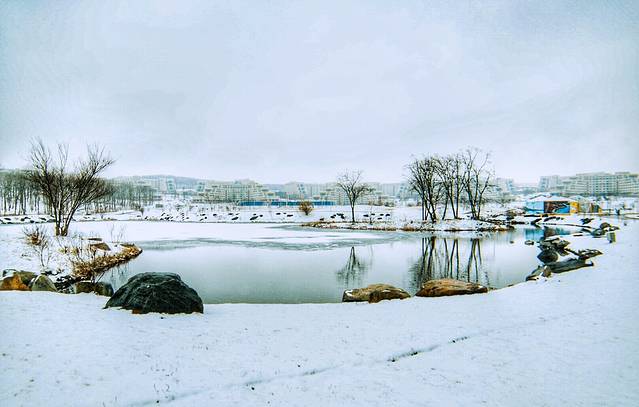 俄罗斯远东联邦国立大学