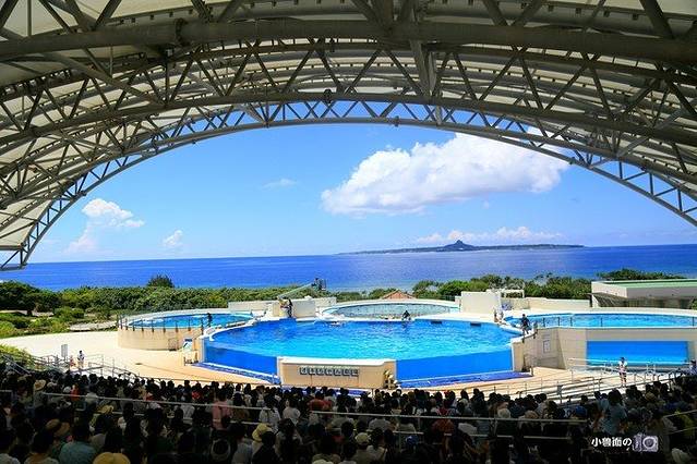 海洋博公园海豚表演剧场