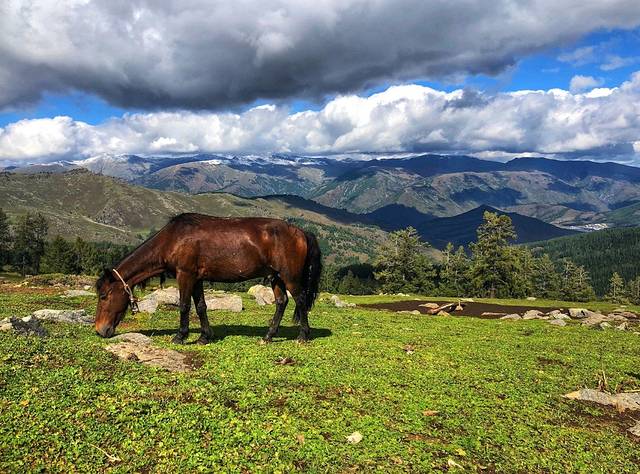 阿勒泰雪都机场