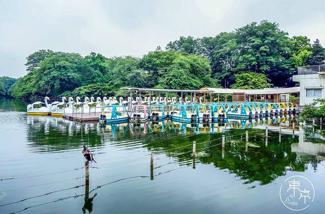 井之头恩赐公园