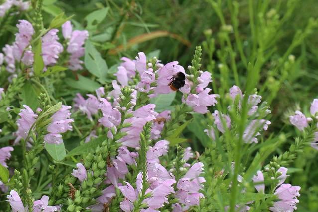 吉林市东山文体中心公园