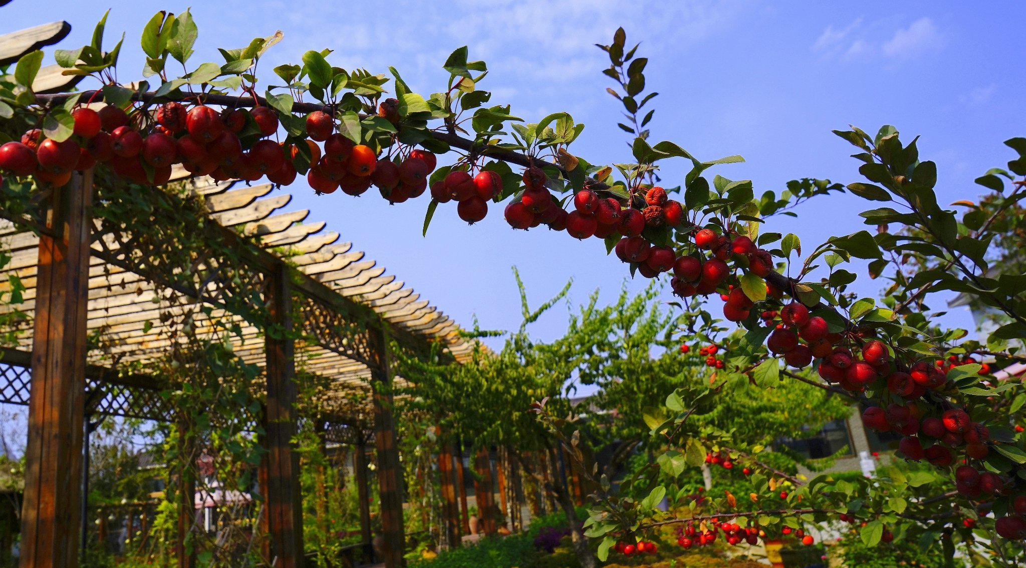 打卡最美乡村  揭开尘封岁月