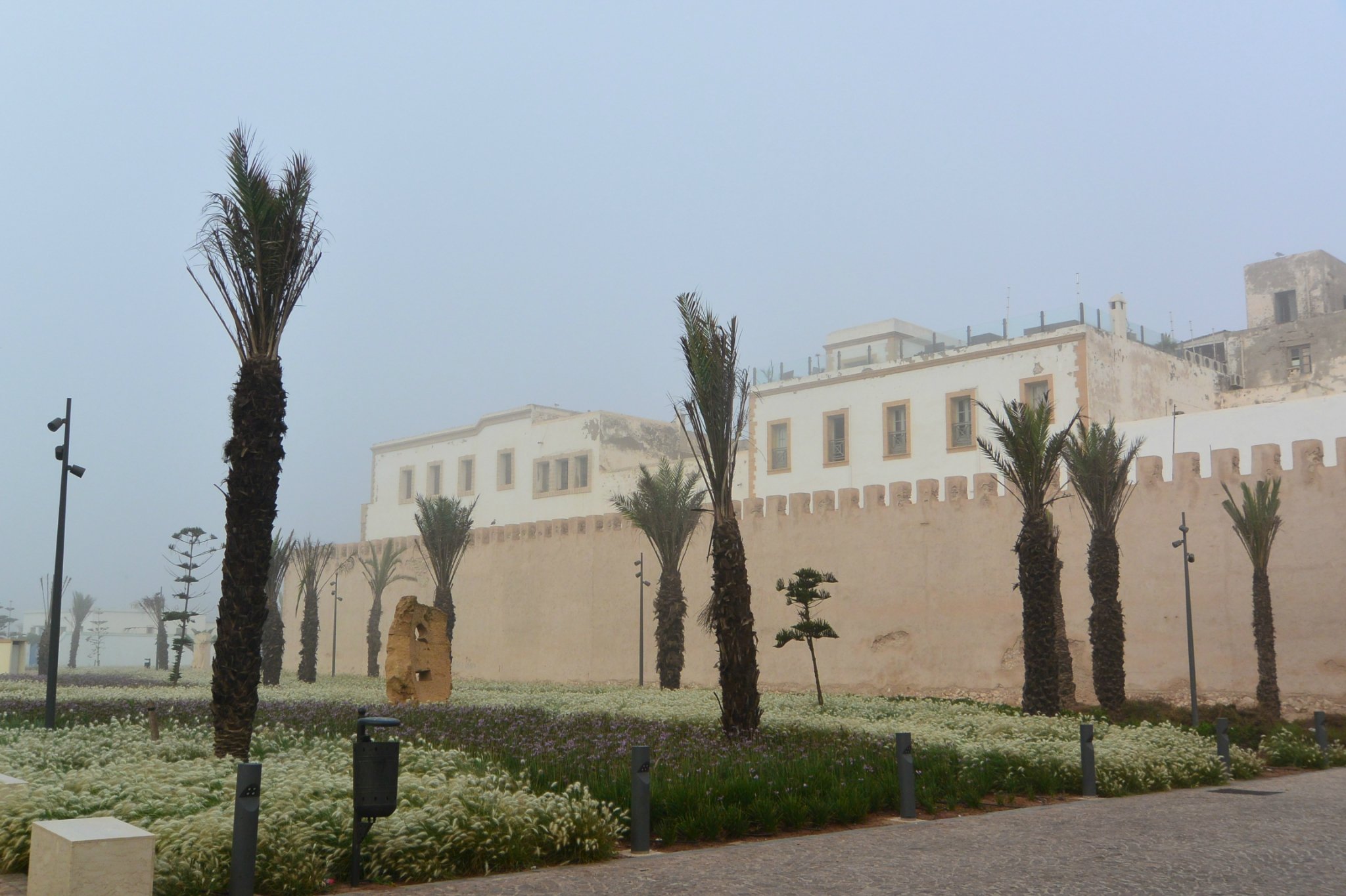 索维拉今天的雾意外的大没有运气看日出了索维拉也许没有摩洛哥最好的