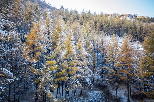 苏木山森林公园