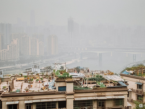 江畔寻花·咖啡小筑旅游景点图片