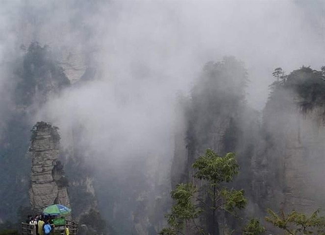 gdp增速_2018张家界gdp(3)