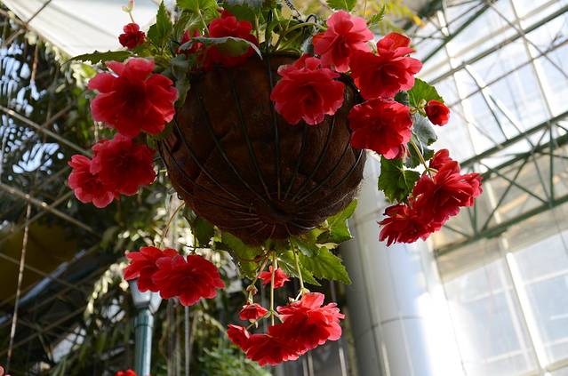 昆明世界园艺博览园