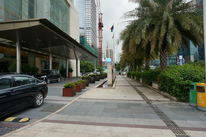 深圳市区会展中心附近