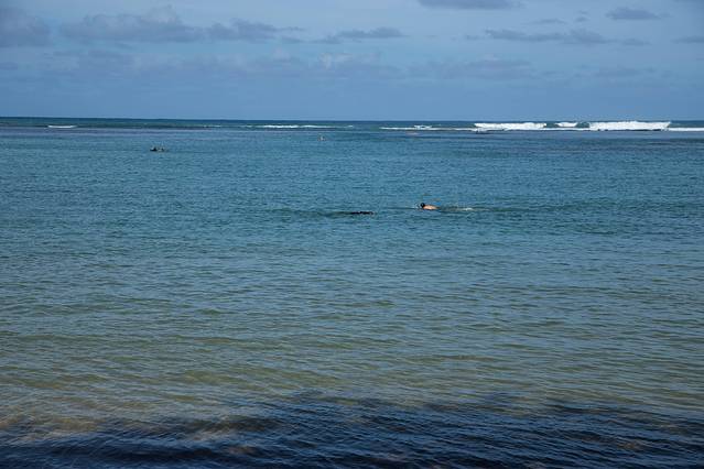 Kilauea Point National Wildlife Refuge