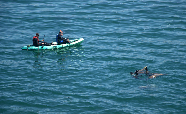 2018La Jolla是San Diego(圣地亚哥)内价格最贵
