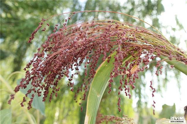 三五九旅屯垦纪念馆