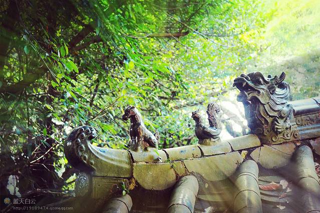 天涯海角·北纬20-18度 海口-三亚