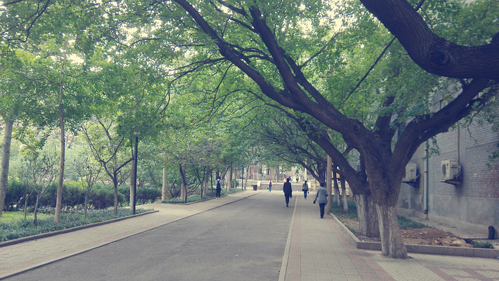 "今日计划是去千佛山，在去往的路上，正好路过山东师范大学_山东师范大学"的评论图片