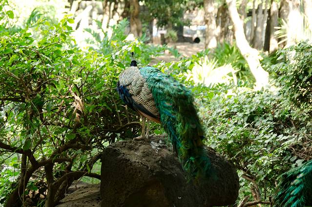 卡塞拉自然公园