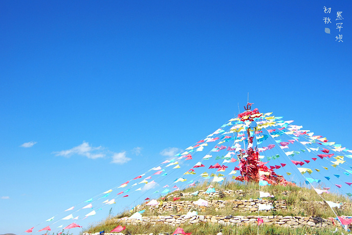 "据说夏季里沿途是一望无际的花海，美不胜收，可惜来错了时节。但来了草原若不骑马，那岂不是一大遗憾_百花坡"的评论图片