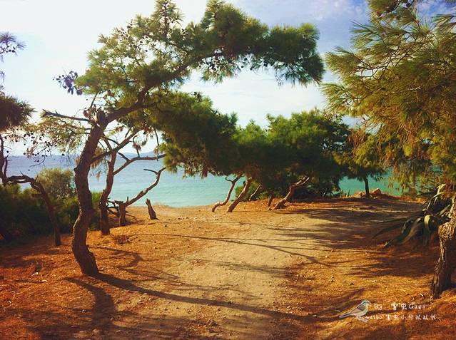 横冲直撞,独闯欧亚九国