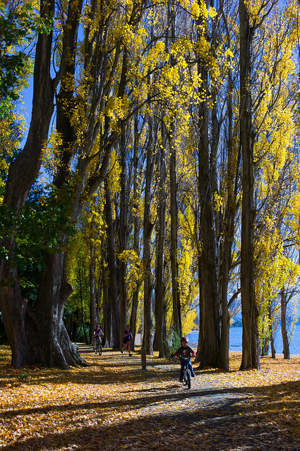 新西兰,童话般的世界