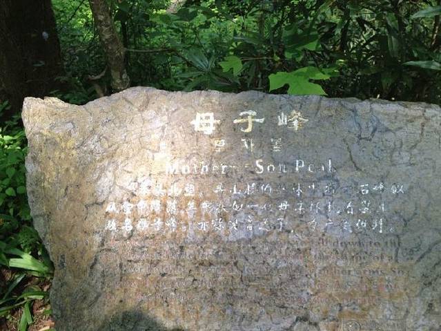 托利莫尔森林公园