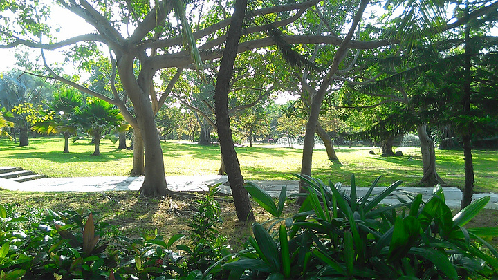 天涯海角,也不完全像有人说的不去遗憾去了更