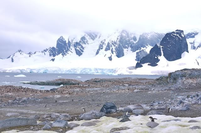 库佛维尔岛图片