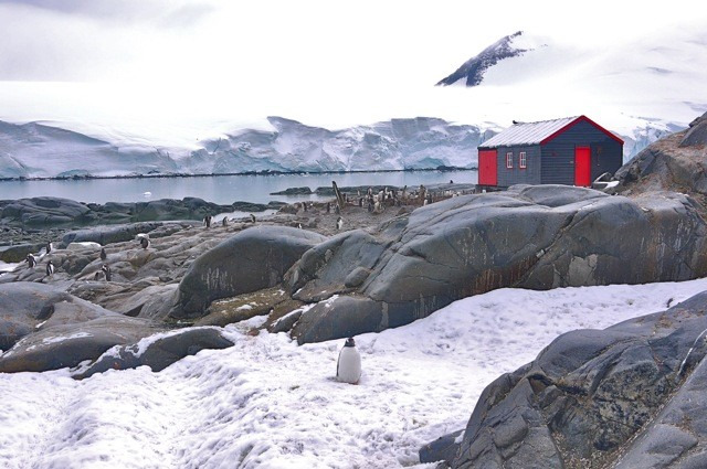 洛克罗伊英国站图片