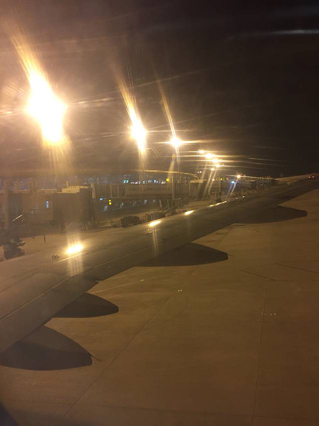 羊宝与蜂蜜的厦门浪漫悠悠之旅