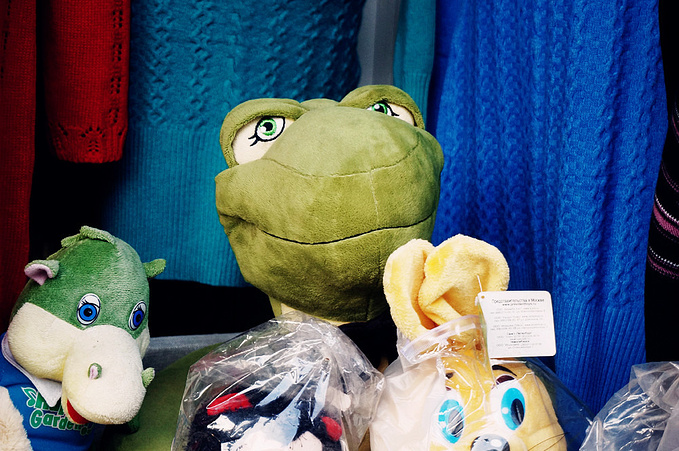 Izmailovsky Park and Market图片