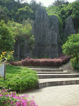 鳞隐石林旅游景点攻略图