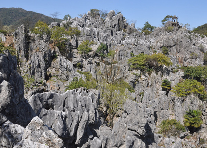 "怪石嶙峋，挺好玩的，风景也不错，去千岛湖玩，这个一定要去_千岛湖石林景区"的评论图片