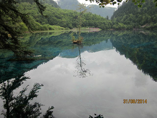 "...一条沟然后向下玩，其中诺日朗瀑布最壮观，五花海最漂亮，由于山上海拔高，特别建议您多带厚衣物防寒_九寨沟-五花海"的评论图片