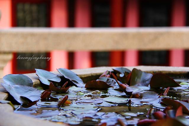 心心念念苏州城,我为你而来