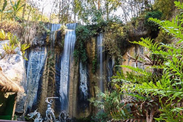 西双版纳原始森林公园