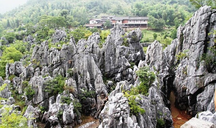 "怪石嶙峋，挺好玩的，风景也不错，去千岛湖玩，这个一定要去_千岛湖石林景区"的评论图片