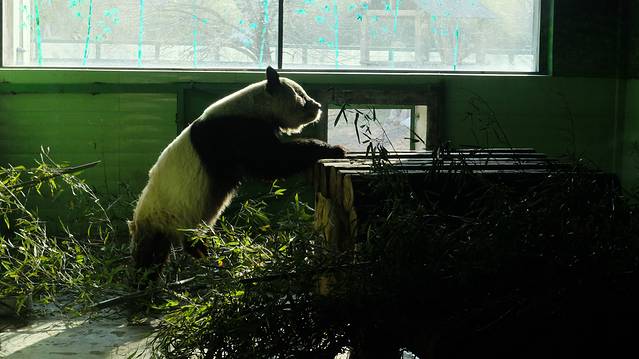 石家庄市动物园