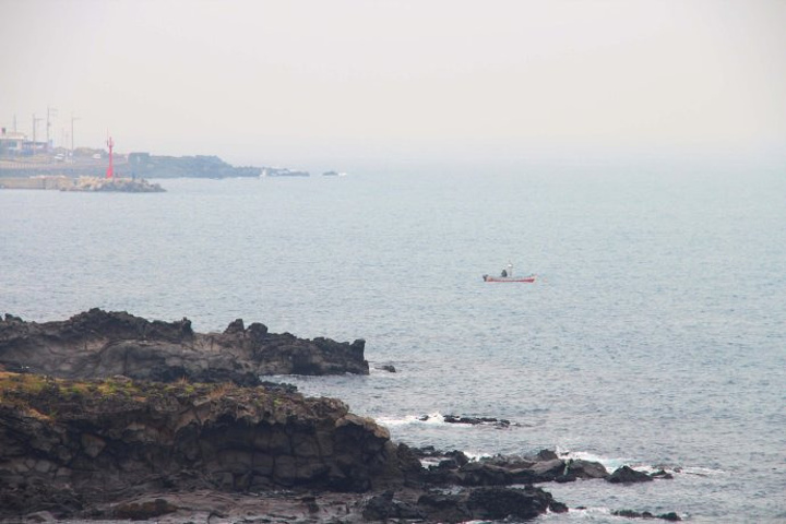 2017夏季最高气温33.5℃,冬季最低气温1℃_龙