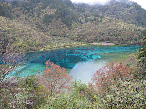 九寨沟-五花海旅游景点攻略图